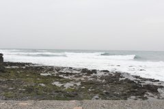 DSC_1541