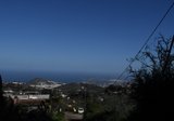 DSC_1490