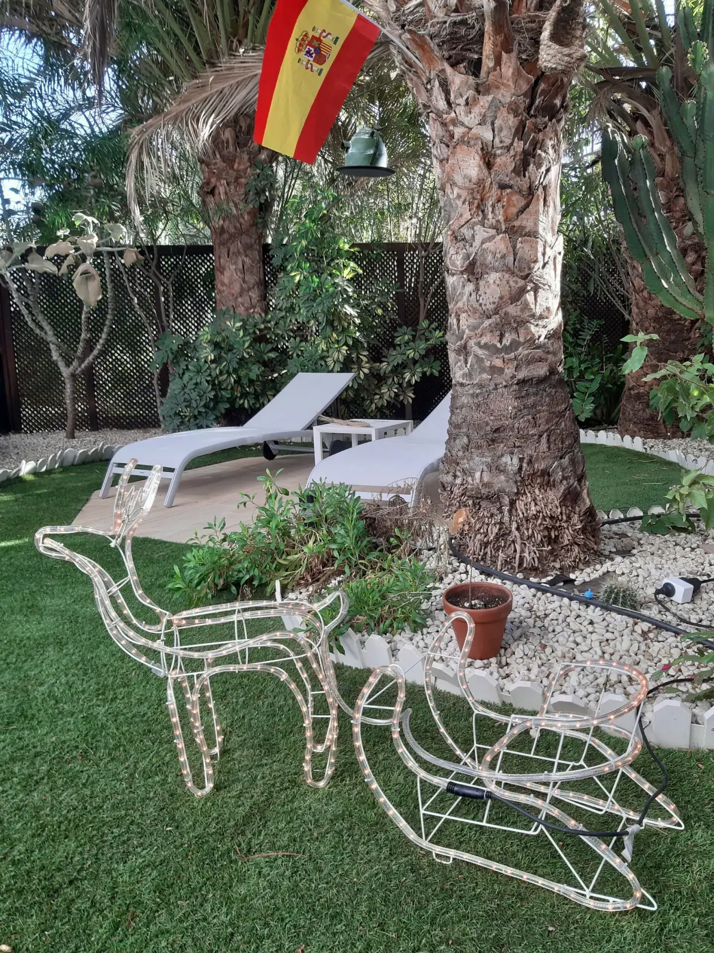 🌴 Romeo Feliz – wo selbst der Weihnachtsmann Urlaub machen möchte ❤️