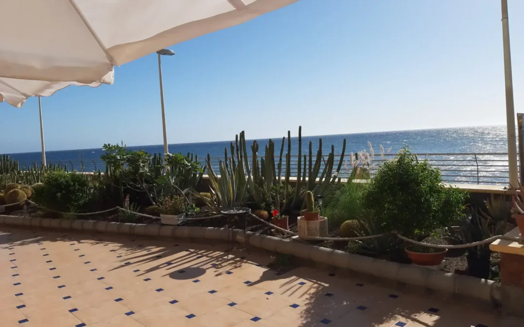 Schattige Terrasse mit Meerblick